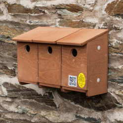 Category image for Eco Products